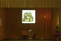 20100120_1929754019_mozgass_karacs_nyito