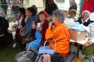 2010.05.15 2. Kistérségi Összművészeti fesztivál