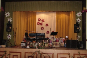 2011 ÁMK Erzsébet bál