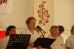 20100817_1374529927_dsc06874