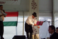 20100817_1583090545_100_6954
