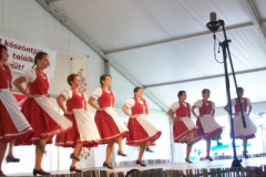 20100817_2034588317_100_6896