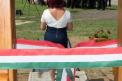 harangavato_35_20161014_1640086845