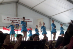 20100817_1602227179_100_6539