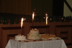 20110117_1454078288_dsc08796