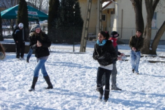 20120214_1106353387_dsc01048