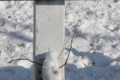 20120214_1277557383_dsc01067