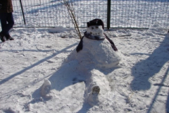 20120214_1422823030_dsc01065