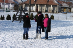 20120214_1703373419_dsc01024