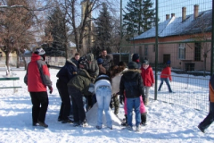 20120214_1715298469_dsc01034