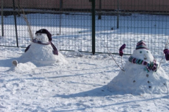 20120214_1928919705_dsc01076