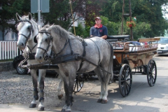 20100817_1040056110_dsc06910