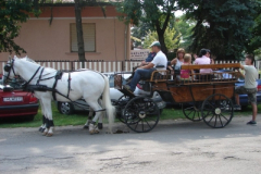 20100817_1060009979_dsc06907