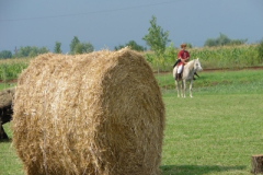 20100817_1253213775_dsc06913