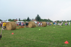20100817_1275403503_100_6171