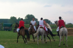 20100817_1343633253_100_6308