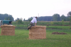 20100817_1667897346_100_6270