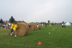 20100817_1682963858_100_6172