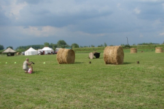 20100817_1962859767_dsc06914
