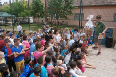 20150512_1100011267_image151