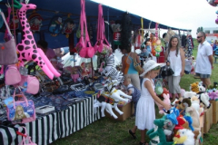 20100817_1284664100_dsc06933