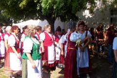 20100817_1805147302_100_6585