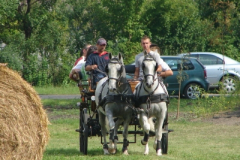 20100817_1944053884_dsc06968