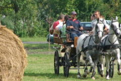 20100817_2087910409_dsc06969