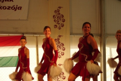 20100817_1037899819_dsc06597