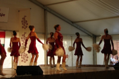 20100817_1202873550_dsc06584