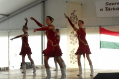 20100817_1340477360_dscf2633
