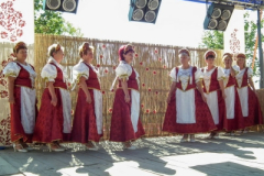 20130822_1082514729_dscf8009