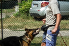 20130822_1115384043_dscf7698