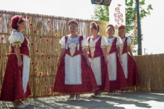 20130822_1951722394_dscf8011