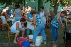 20130822_2017327759_dscf7649