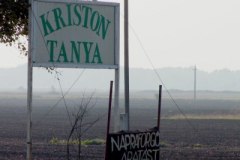 mezotarkany16_20090322_1720993966