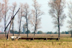 mezotarkany17_20090322_1574764037