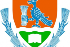 mezotarkany1_20090322_1091478059