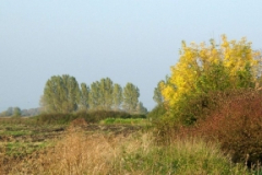 mezotarkany20_20090322_1151023724