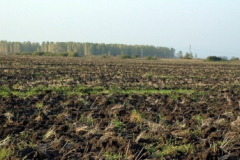 mezotarkany27_20090322_1015699847