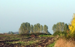 mezotarkany30_20090322_2042967571