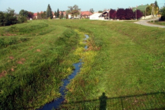 mezotarkany32_20090322_1345852592