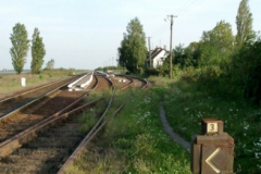 mezotarkany35_20090322_1816625039