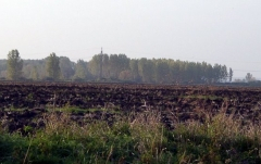 mezotarkany3_20090322_2041436949