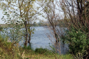Mezőtárkányi horgásztó
