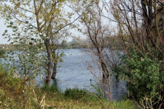 to10_20090322_1565049668