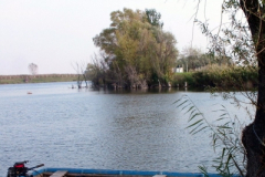 to12_20090322_1375161977