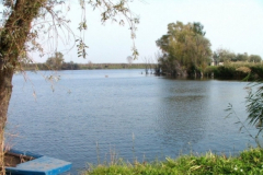to13_20090322_1835627269