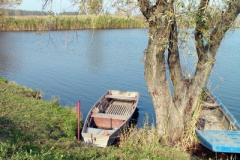 to14_20090322_1811301645