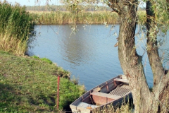 to15_20090322_1815535819